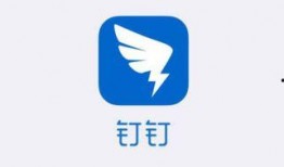 钉钉最新版本勋章爆料,勋章功能全新升级，解锁职场荣耀新篇章