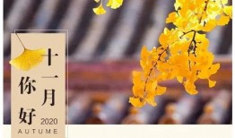 树叶最新爆料文案,揭秘娱乐圈不为人知的秘密