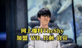 转会期最新爆料theshy,揭秘TheShy最新转会期动向！
