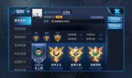 王者荣耀资料最新爆料,揭秘最新爆料，全新英雄与玩法即将登场！