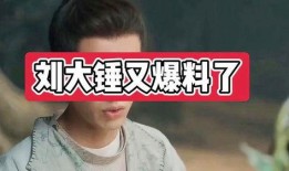 刘大锤最新爆料大爆剧,大爆剧背后的惊人内幕