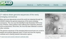 爆料美国病毒最新消息,疫情反弹与防控措施再升级！
