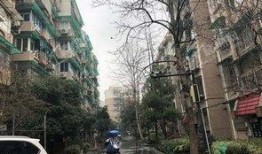 九龙小区爆料视频最新版,惊人真相曝光！