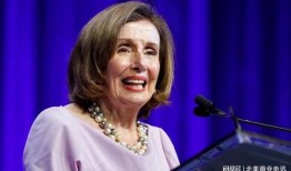 佩洛西的最新爆料是什么,揭秘国会内部惊人内幕