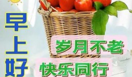爆料提子视频大全最新下载,最新爆料提子视频大全下载攻略