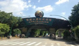 盐田新楼盘最新爆料,未来居住新地标即将揭幕！