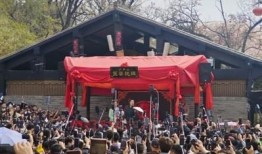 开封王婆最新爆料事件,揭秘娱乐圈惊人内幕