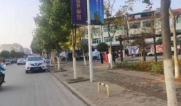 最新爆料黄梅,揭秘背后惊人真相