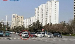 诸城半岛爆料最新消息,揭秘半岛发展新动态