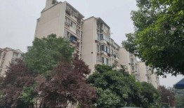 九龙小区爆料视频最新版,惊人真相曝光！