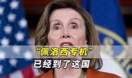 佩洛西的最新爆料是什么,揭秘国会内部惊人内幕